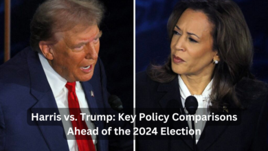 Harris vs. Trump: Key Policy Comparisons Ahead of the 2024 Election